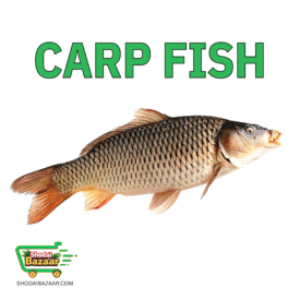 CARP FISH (IQF)কার্প মাছ