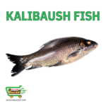 Kalibasuh