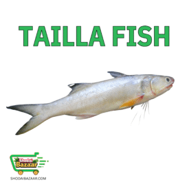 Tailla Fish (IQF) টেইলা মাছ