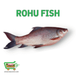 Rohu Fish (Gutted) রুই মাছ (আস্ত)