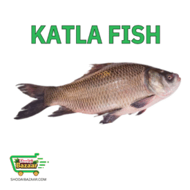 Katla Fish (IQF) | কাতলা মাছ (আস্ত)