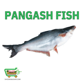 Pangash Fish (IQF) পাঙ্গাস মাছ