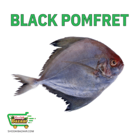 BLACK POMFRET(কালো রূপচাদা মাছ)