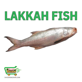 Lakka Fish (IQF) লাক্কা মাছ