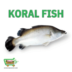 Koral (Whole) কোরাল মাছ (আস্ত)