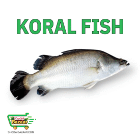 Koral (Whole) কোরাল মাছ (আস্ত)