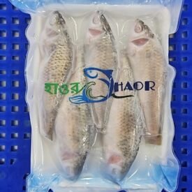 RIVER PUTI TRAY/নদীর পুঁটি মাছ