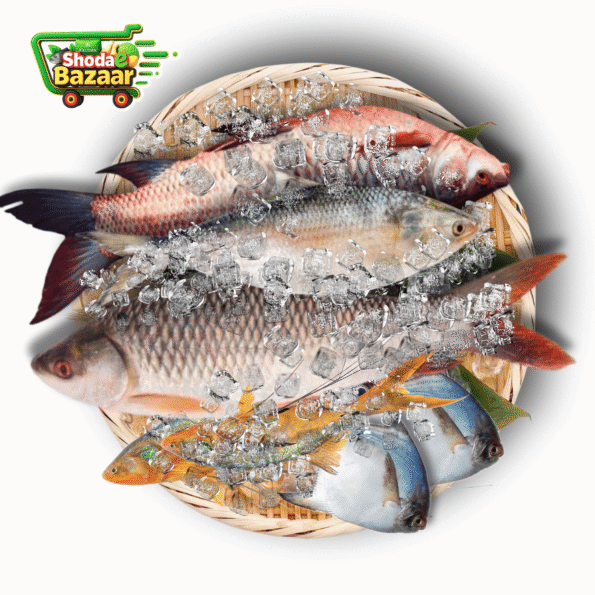 Frozen Fish