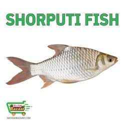 Shorputi Fish